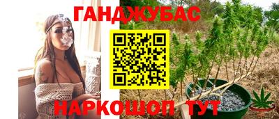 прущая мука Лесосибирск