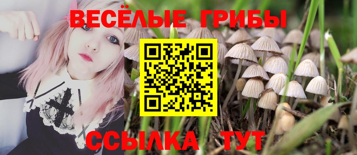 Гусь-Хрустальный  Псилоцибиновые грибы Magic Shrooms  наркота  Вход с VPN 