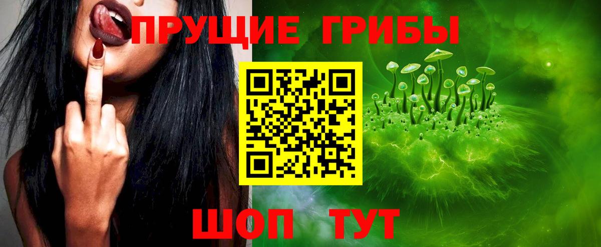 Псилоцибиновые грибы GOLDEN TEACHER Гусь-Хрустальный